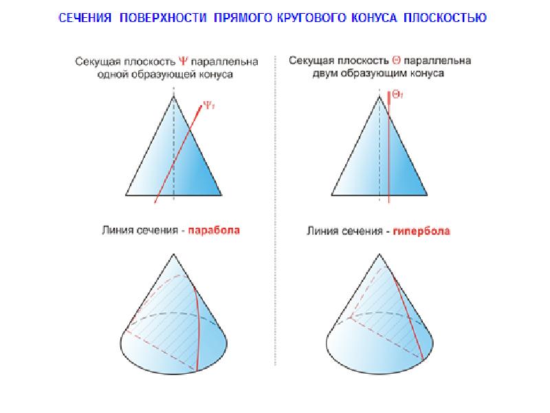 На рисунке конус по треугольнику пересекает плоскость