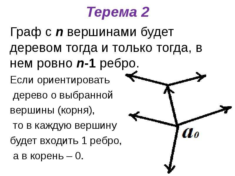 Вершина корень