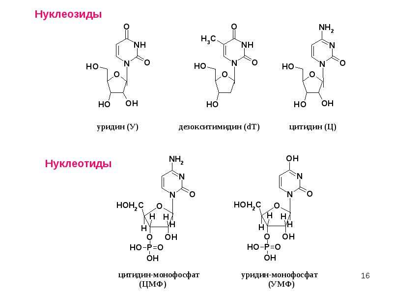 Нуклеозиды и нуклеотиды. Дезокситимидин 5 монофосфат. Уридин тимидин цитидин. 2) Тимидин-5’-монофосфат. Нуклеозид уридин.