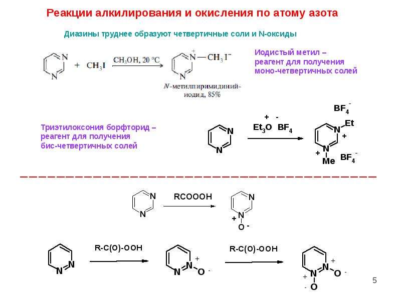 N реакции. Алкилирование диазинов. Алкилирование фенола схема и механизм реакции. Пиридазин алкилирование. Схема реакции алкилирования бензола.