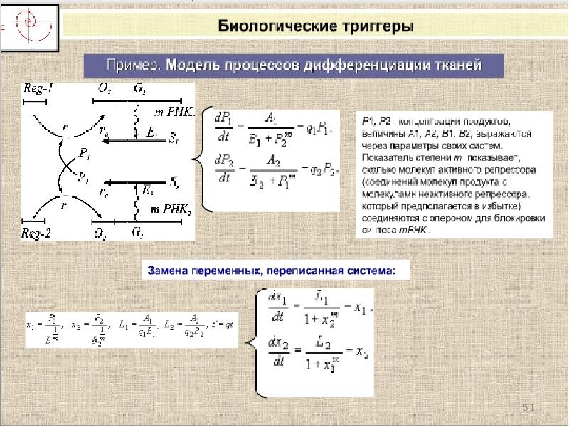 Биологические процессы. Биологические процессы примеры. Виды биологических процессов. Кинетика биологических процессов. Кинетика биологических процессов основные подходы к анализу.