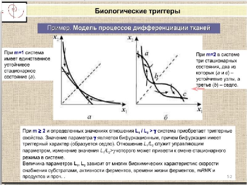 Кинетических процессов. Кинетика биологических процессов. Модели биологических процессов. Кинетическое исследование процессов. Биологические процессы примеры.