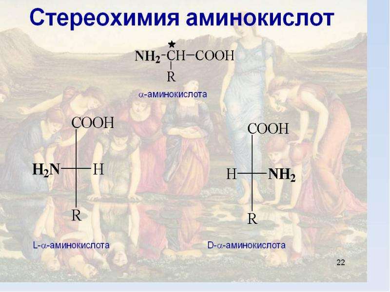 Аминокислоты белки химия 10 класс презентация