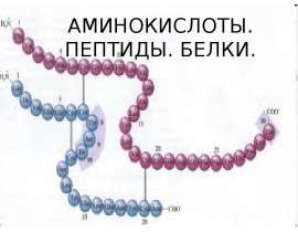 Аминокислоты. Пептиды. Белки
