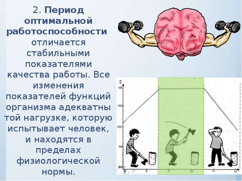 Уровень активности и работоспособности. Умственная и физическая нагрузка. Физическая работоспособность человека. Взаимосвязь умственной и физической. Физическая и умственная работоспособность человека.