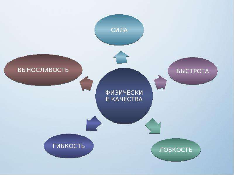 Физическое качество гибкость сила. Сила быстрота выносливость. Сила гибкость выносливость. Сила ловкость быстрота выносливость. Качества выносливости гибкости скорости силы ловкости.