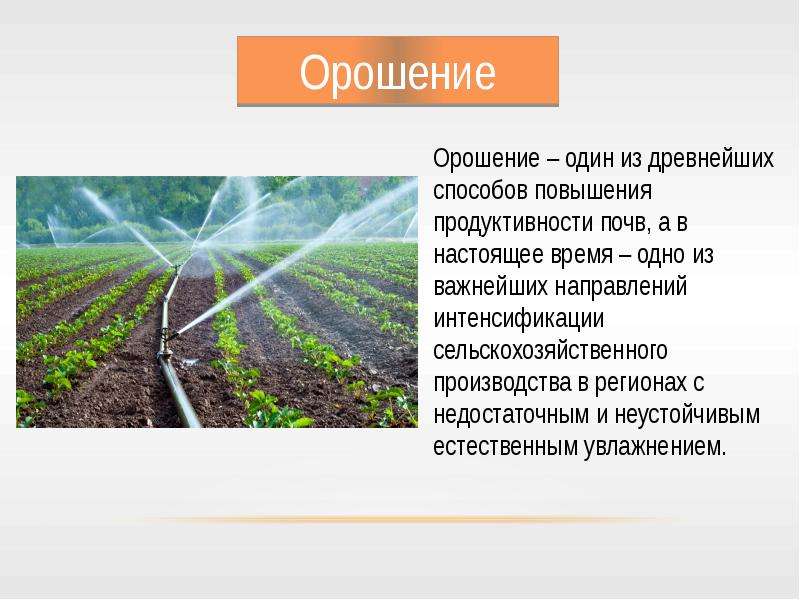 Продолжите схемы последствий человеческой деятельности вырубка леса избыточное орошение