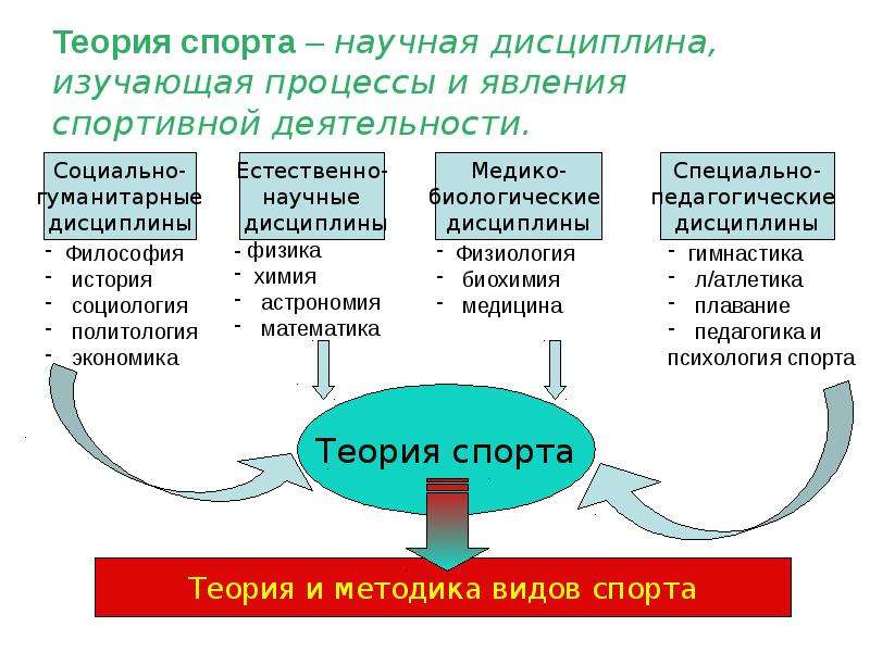 Минусы спорта. Спортивная теория. Спортивная теория плюсы. Объектом исследования в теории спорта. Спортивная теория возникновения государства.