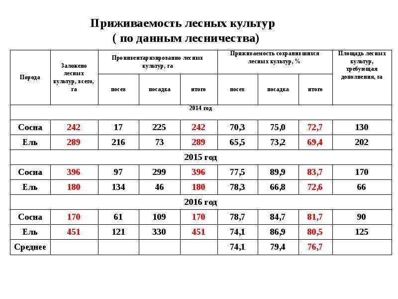 Обследование площадей подлежащих закультивированию составление проекта лесных культур