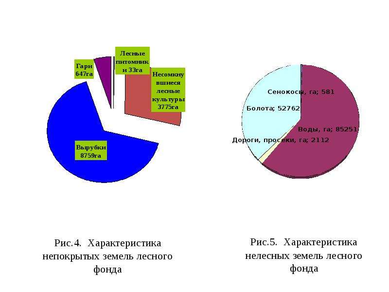 Состояние лесного фонда. Нелесные земли лесного фонда. Перевод лесных земель в нелесные.