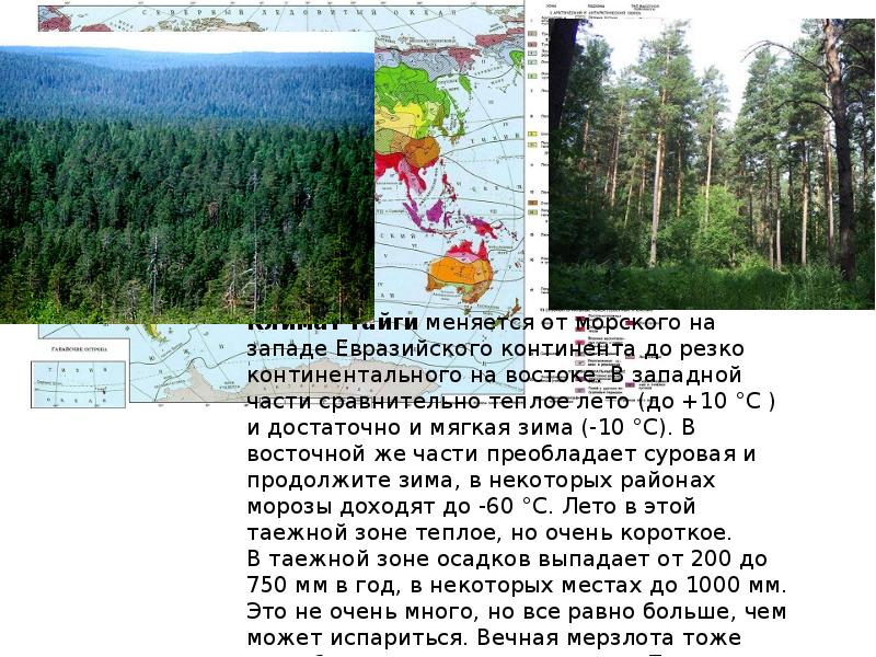 Уссурийская тайга карта