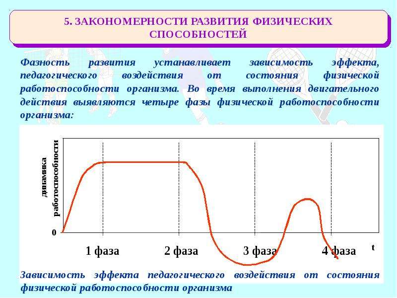 Закон зависимость закономерность. Закономерности развития физических способностей. График развития навыков человека. Фазность. Фазность тока для детей.