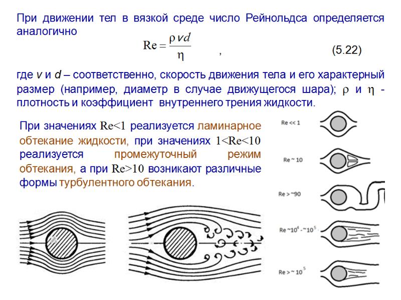 Движение жидкости в пористой среде презентация