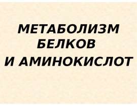 Метаболизм белков и аминокислот