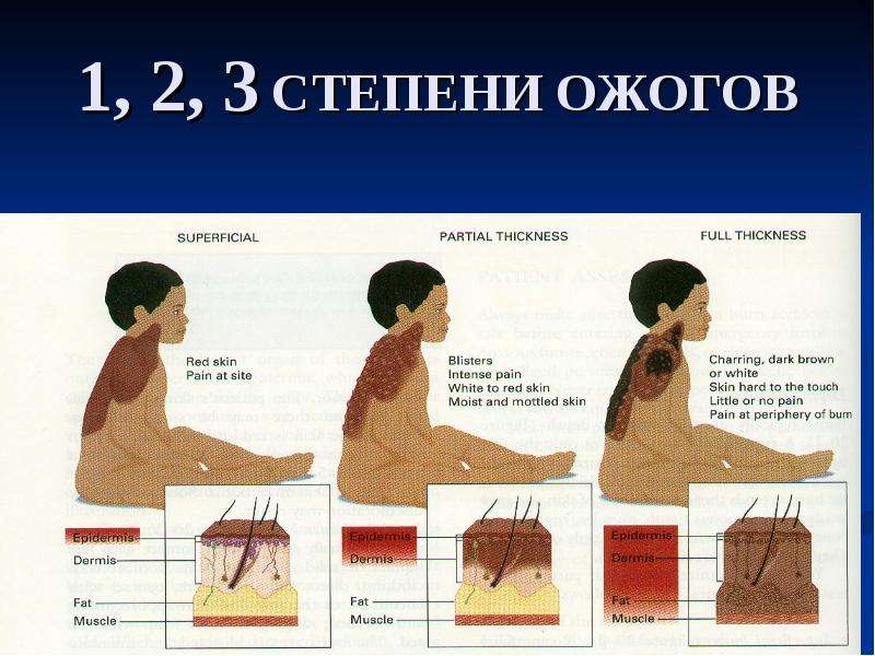 Доврачебная помощь презентация