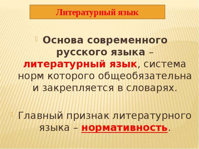 Система литературного языка