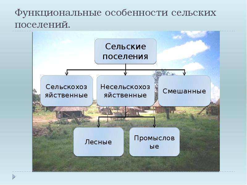 Особенности сельских поселений