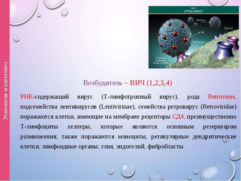 Спид возбудитель. Возбудитель СПИДА это вирус. Ретровирус ВИЧ.