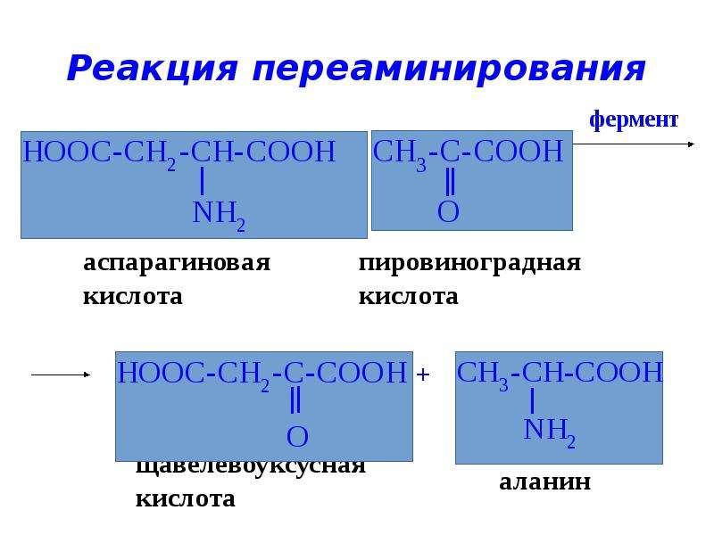 Пировиноградная кислота свойства