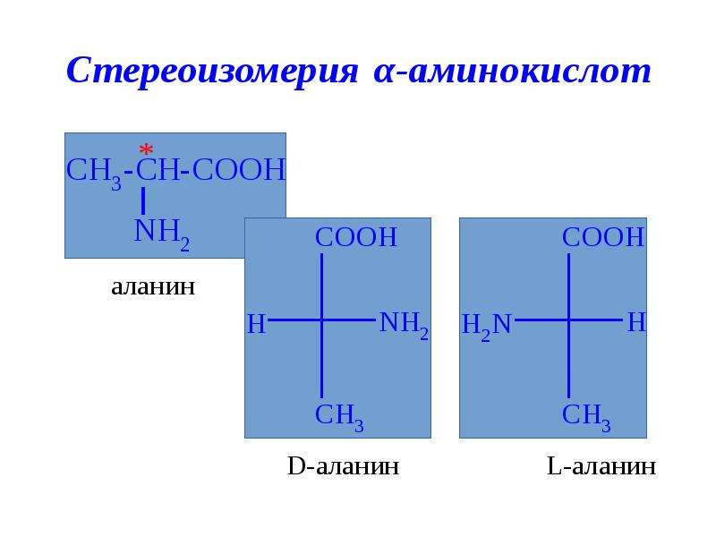 Поурочный план аминокислоты белки