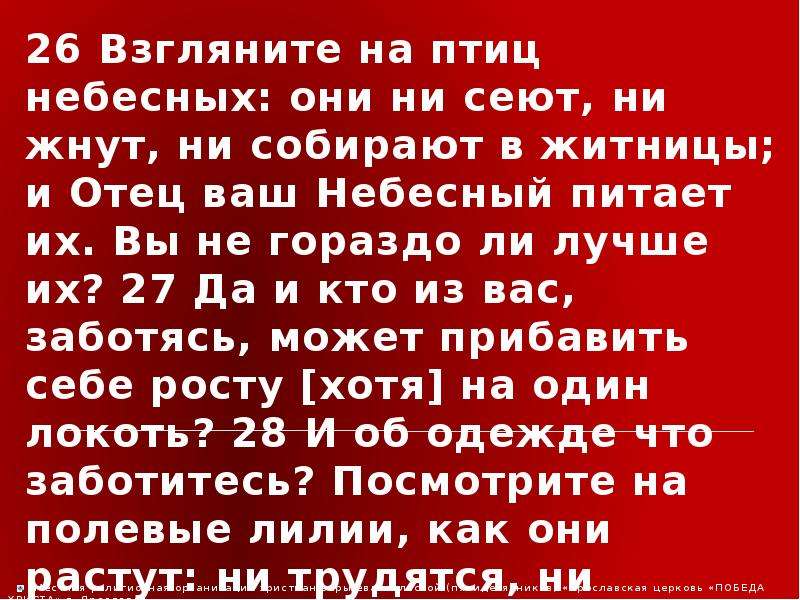 Ни собрала. Взгляните на птиц небесных они не сеют и не жнут. Птицы не сеют и не жнут и не собирают в житницы. Библия птицы небесные не жнут не сеют. Посмотрите на птиц небесных они не жнут,не сеять .Библия.