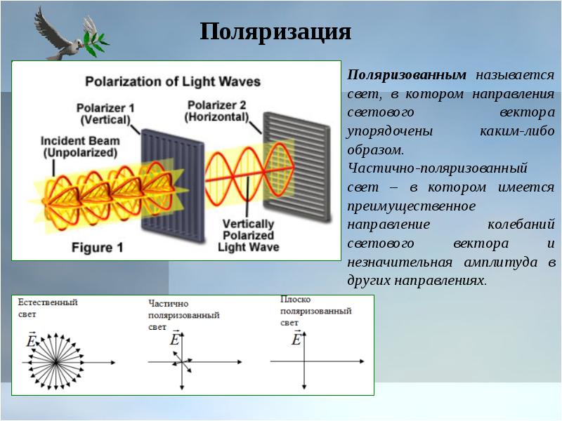 Оптическая поляризация. Линейная ортогональная поляризация. Поляризованная электромагнитная волна. Частичная поляризация света. Поляризация света поляризатор.