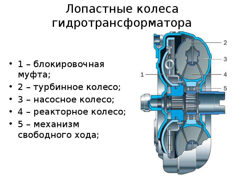 Лопастные колеса гидротрансформатора 1 – блокировочная муфта; 2 – турбинное колесо; 3 – насосное кол