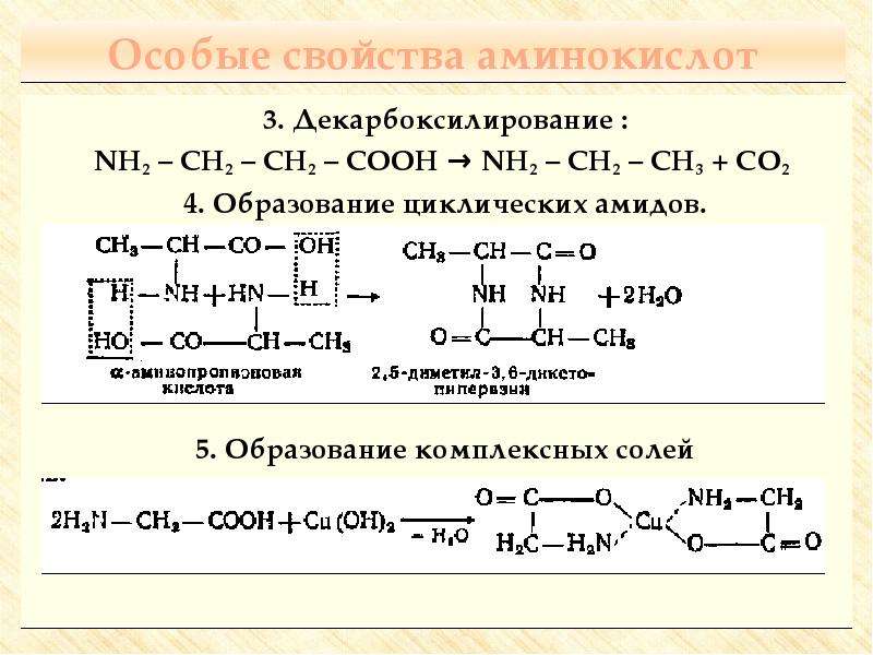 Аминокислоты презентация 10 класс