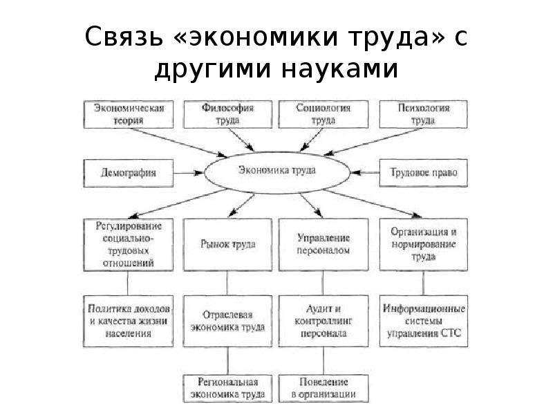 Презентация связь математики с другими науками