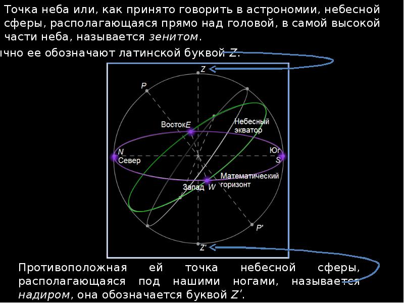 Точки небесных тел. Зенит и Надир в астрономии. Зенит на небесной сфере. Основные точки небесной сферы астрономия. Небесная сфера 11 класс по астрономии.