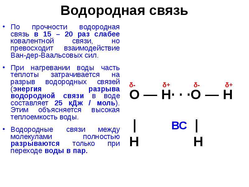 Схема образования водородной связи