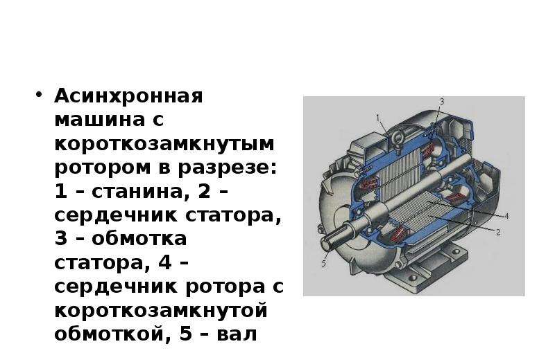 Асинхронный двигатель с короткозамкнутым ротором презентация