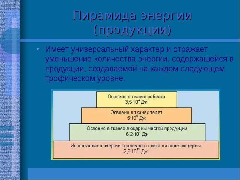 Пирамида энергии. Пирамида энергии (продукции). Пирамида энергии отражает. Пирамида энергии биология.