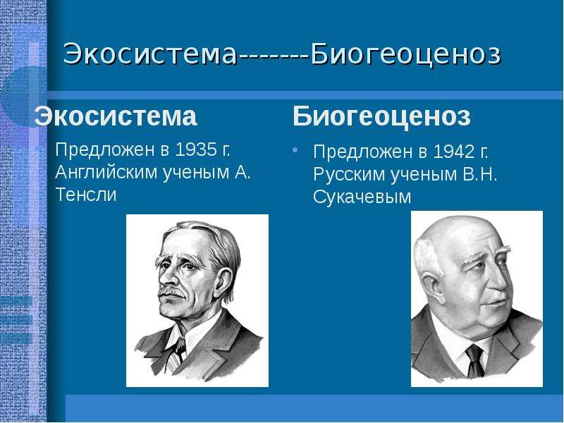 Экосистема предложил. Тенсли экосистема. Биогеоценоз Сукачев. Сукачев экосистема. Учение о биогеоценозе.