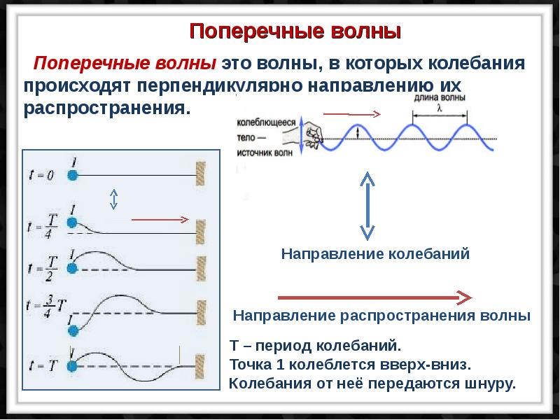 Продольные и поперечные волны картинки