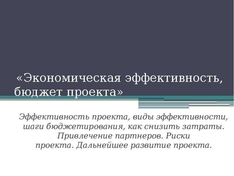 Что такое бюджетная эффективность проекта