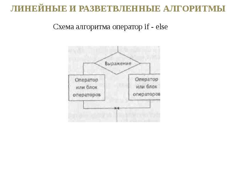 Линейные разветвляющиеся алгоритмы