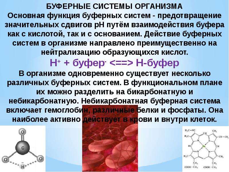 Буферные системы. Буферные системы организма. Роль буферных систем в организме. Функции буферных систем. Функции буферных систем организма.