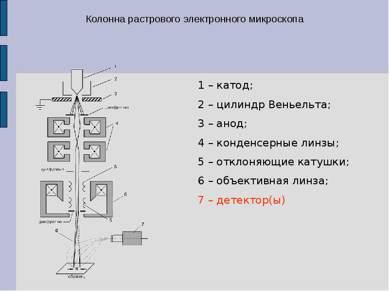 Принципиальная схема растрового сканирующего электронного микроскопа при работе в режиме рма