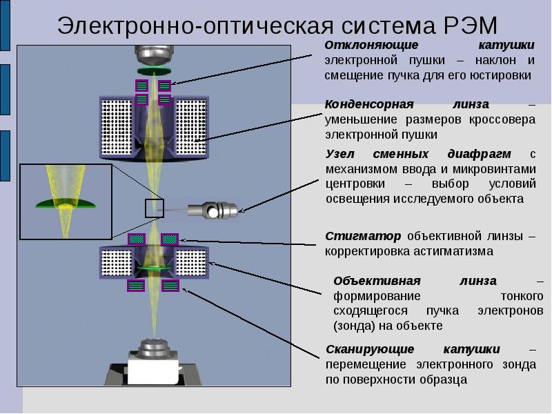 Электронная микроскопия презентация