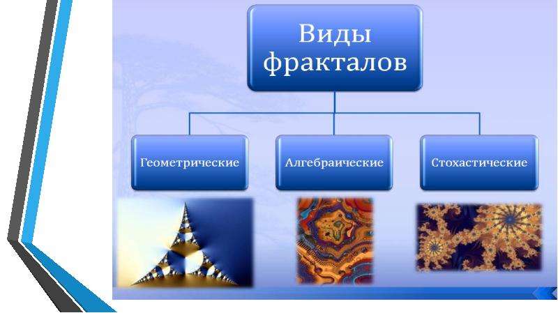 Загадочный мир фракталов проект