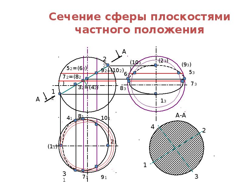 Сечения поверхности вращения плоскостью