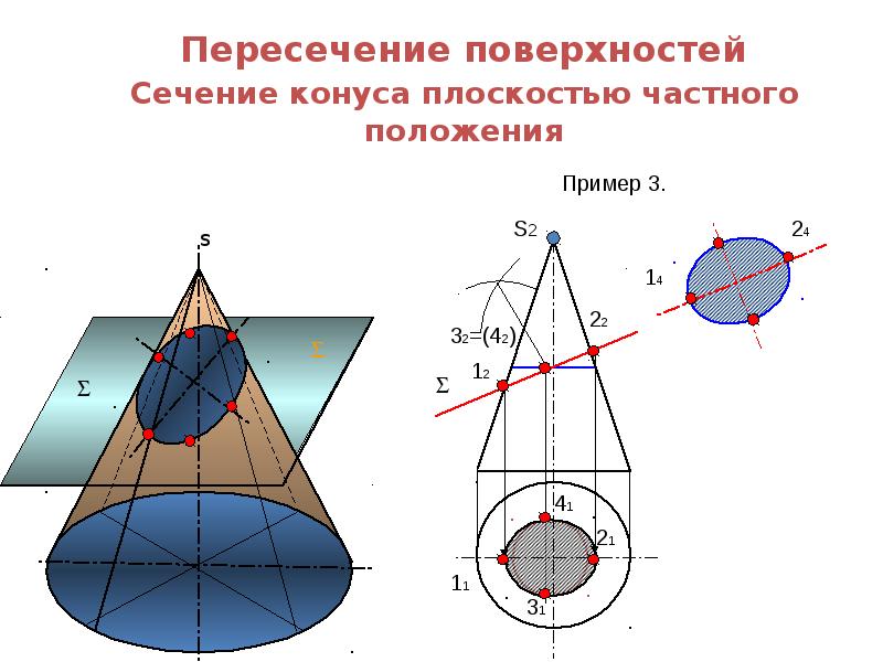 Сечение конуса