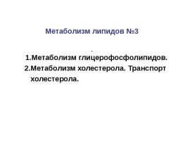 Метаболизм глицерофосфолипидов. Метаболизм холестерола. (Лекция 10)