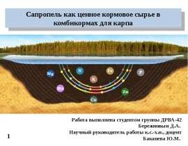 Сапропель, как ценное кормовое сырье в комбикормах для карпа