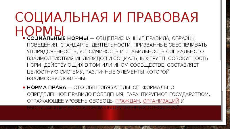 Общепризнанные правила образцы поведения стандарты деятельности обеспечивающие упорядоченность