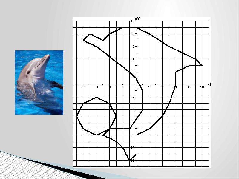 Координатная плоскость рисунок дельфин