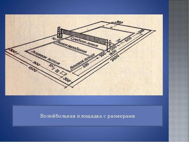 Поле волейбола. Стандартные Размеры волейбольной площадки. Площадь волейбольного поля м2. Разметки волейбольной волейбольной площадки. Габариты волейбольной площадки.