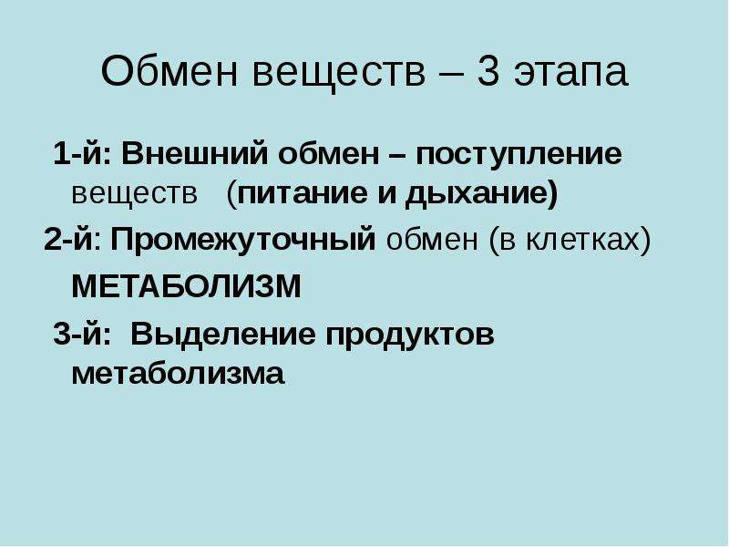 Обмен веществ происходит