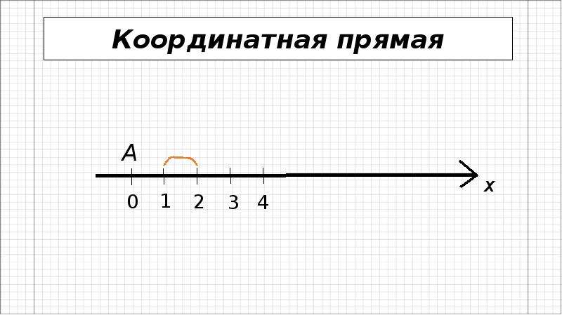 Координатная прямая презентация